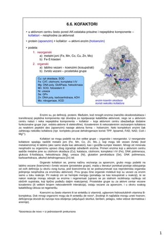 Koenzimi i vitamini: uloga u enzimskim reakcijama
