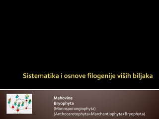 Mahovine (bryophyta): sistematika, građa, razmnožavanje i ekologija