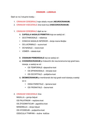 Cranium – lobanja: detaljan pregled kostiju lobanje