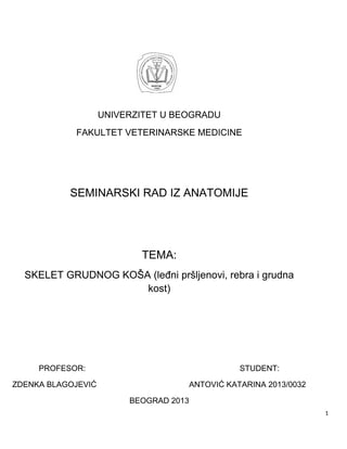 Skelet grudnog koša