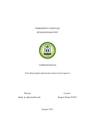 Industrijska proizvodnja čička (Arctium lappa L.)