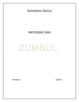 Zumbul (hyacinthus): maturski rad