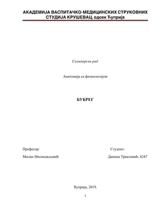 Anatomija i fiziologija bubrega