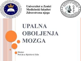Upalna oboljenja mozga