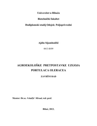 Agroekološke pretpostavke uzgoja Portulacea oleraceae