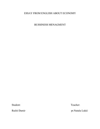 ESSAY FROM ENGLISH ABOUT ECONOMY/esej iz engleskog