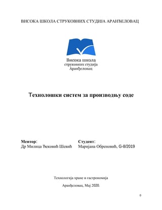 Tehnološki  sistem za proizvodnju sode