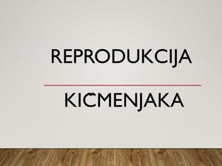 Reprodukcija kičmenjaka