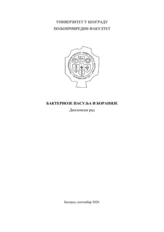 Bakterioze pasulja i boranije