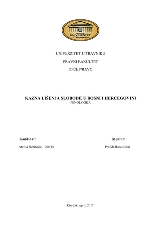 Kazna lišenja slobode u Bosni i Hercegovini