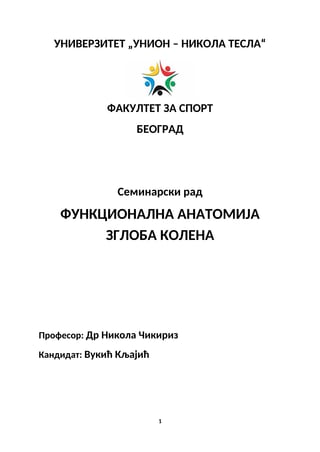 Funkcionalna anatomija zgloba kolena