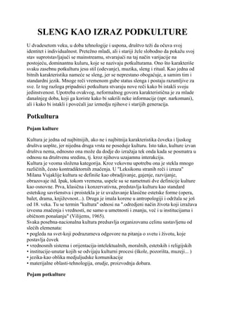 Sleng kao izraz podkulture