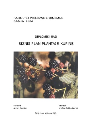 Biznis plan plantaže kupine