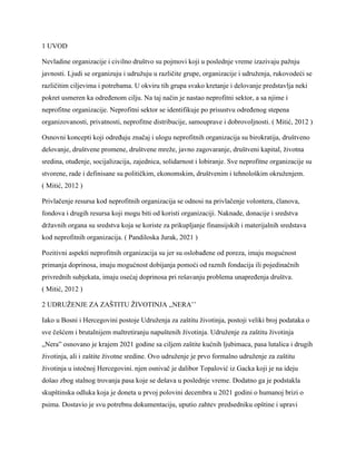 Neprofitna organizacija Nera