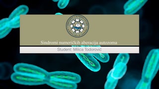 Sindromi numeričkih aberacija autozoma