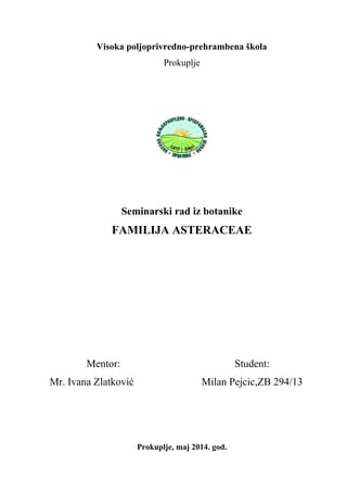 Familija glavočika – Asteraceae