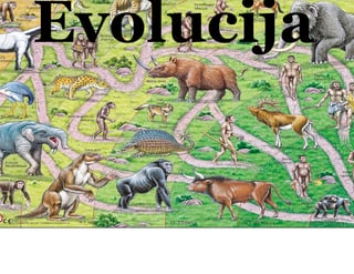 Teorija evolucije i njen značaj u biologiji i medicini