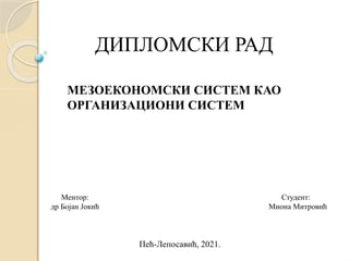 Mezoekonomski sistem kao organizacioni sistem