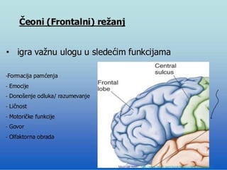 Skripta iz psihologije