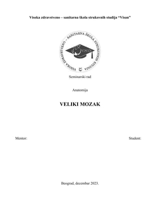 Veliki mozak