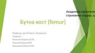 Butna kost – femur