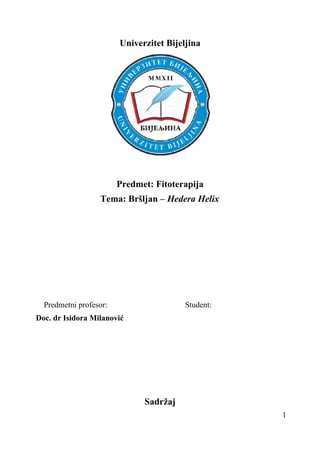 Bršljan – Hedera Helix