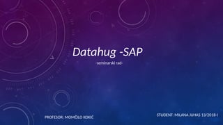 Datahug SAP