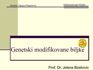 Genetski modifikovane biljke