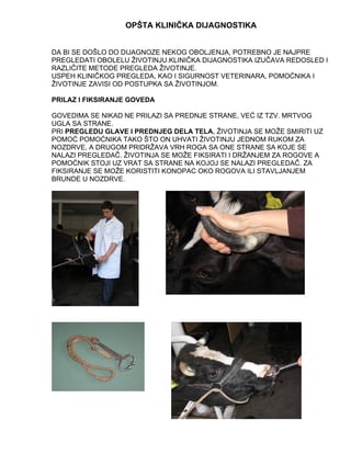 Praktikum – Bolesti životinja