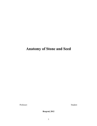 Anatomy of stone and seeds