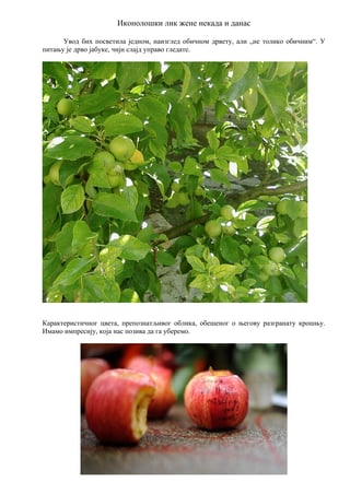 Ikonoloski lik žene nekada i danas