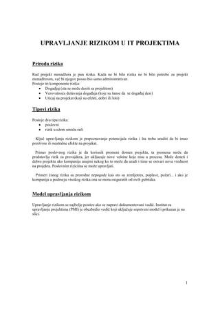 Upravljanje rizicima u IT projektima