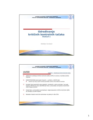Kritična kontrolna tačka