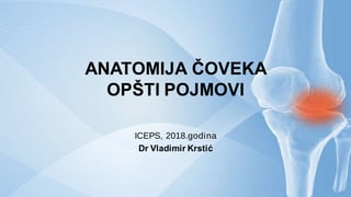 Anatomija čoveka: opšti pojmovi