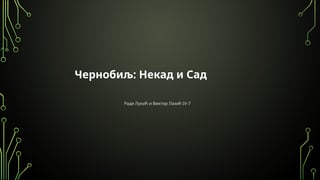 Černobilj: Nekad i sad