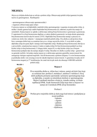 Mejoza: objašnjenje procesa ćelijske deobe