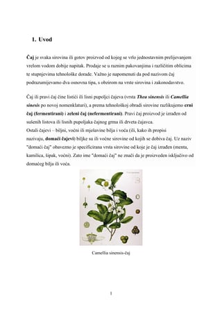 Sve o čaju: camellia sinensis, uzgoj, vrste i lekovitost