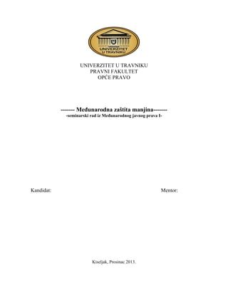 Međunarodna zaštita manjina