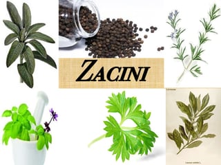 Začini i začinsko bilje: istorija, upotreba i značaj