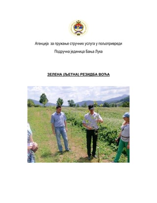 Zelena rezidba voća