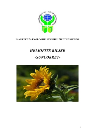 Heliofite biljke – Suncokret