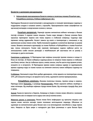 Bolesti u šumskim rasadnicima