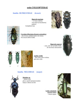 Štetočone ukrasnih biljaka