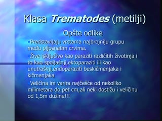 Metilji i pantljičare