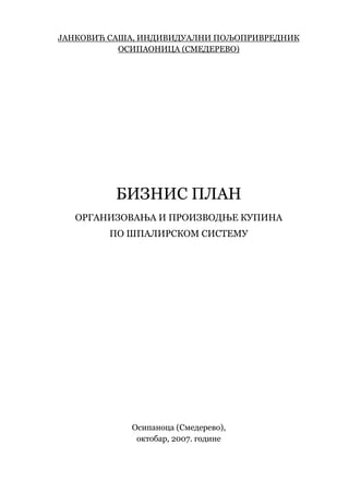 Biznis plan – Organizovanja i proizvodnje kupina po špalirskom sistemu