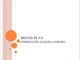 Biznis plan – Podizanje zasada jabuke
