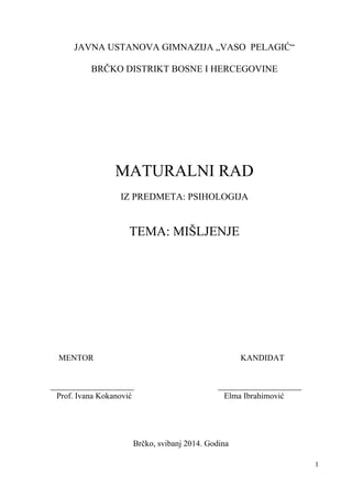Mišljenje: maturalni rad iz psihologije