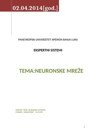 Neuronske mreze
