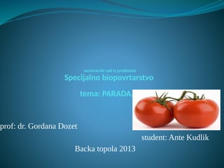 Uzgoj paradajza: praktični saveti i preporuke