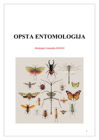Entomologija – Morfologija i sistematika